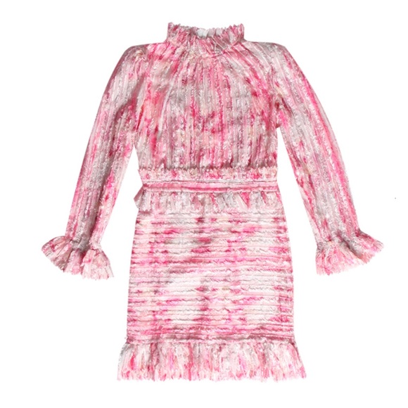 The ALESSEA Feathered Stunning Ruffle Dress - Picture 3 of 8